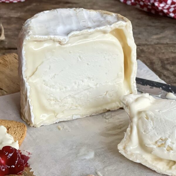 Chaource artisanal algérien, fromage crémeux et raffiné. Fabriqué en Kabylie.